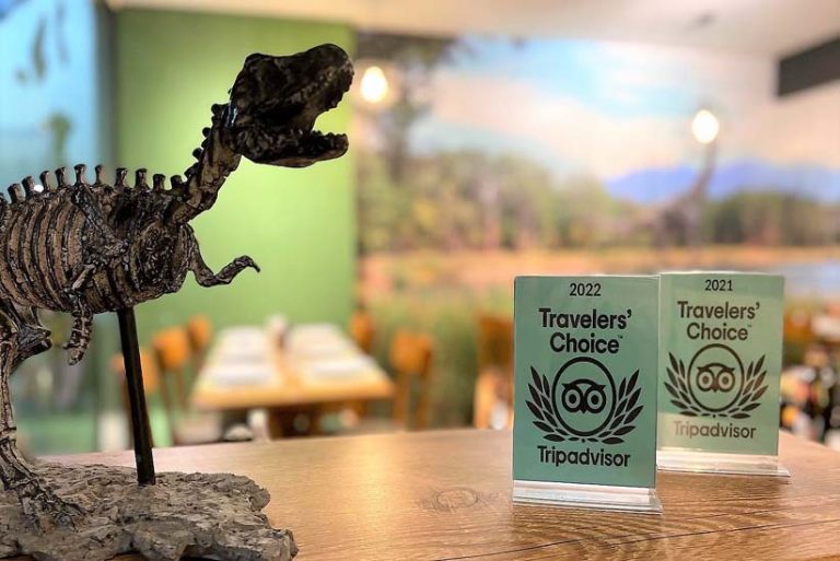 Pizzaria temática de dinossauros em Foz do Iguaçu é premiada pela maior