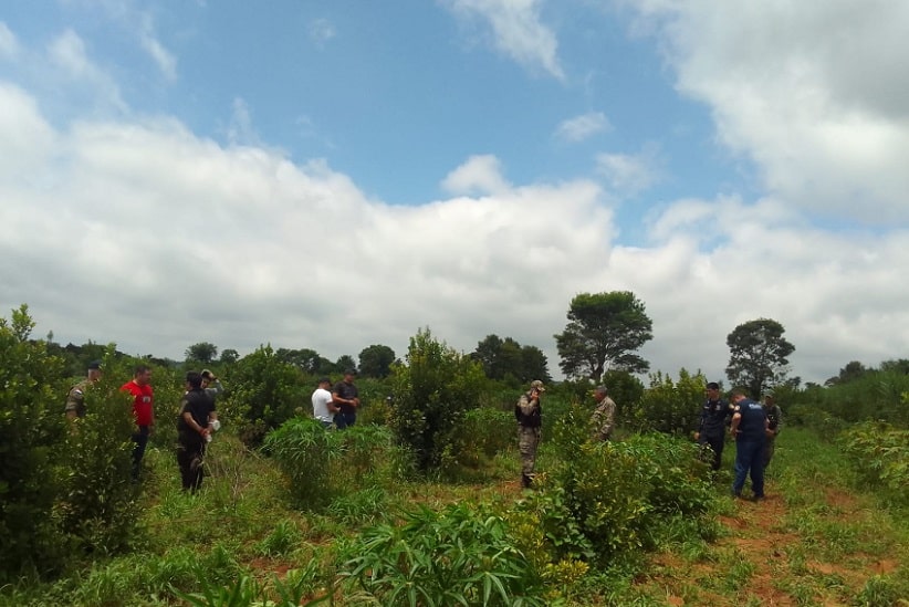 Sul Africano V Tima De Sequestro Encontrado Morto No Paraguai H Foz