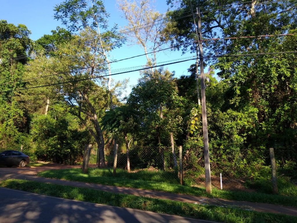 É preciso combater a ideia errônea de que a preservação ambiental se contrapõe ao progresso