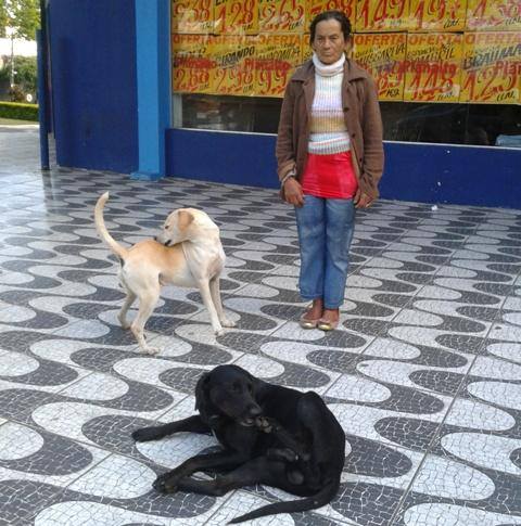 A aceitação de animais em abrigos à pessoas em situação de rua passou a vigorar por conta da luta dos ativistas