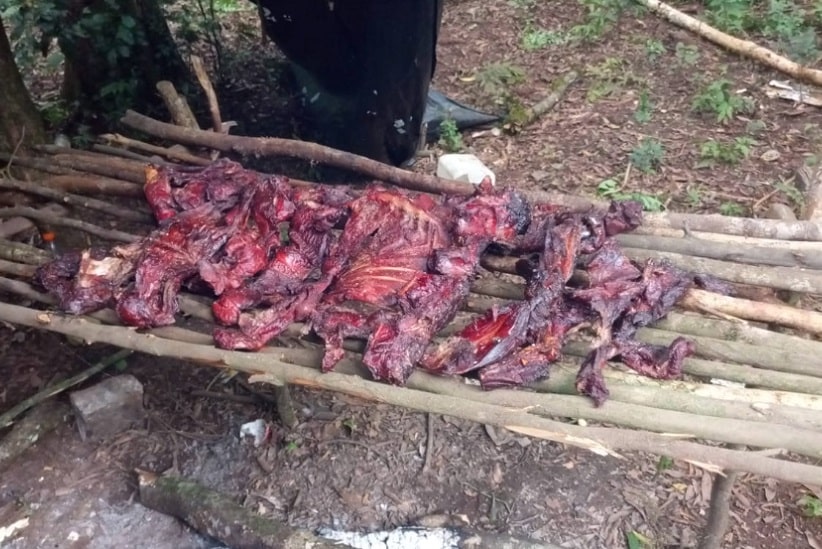 Em um dos acampamentos, os guardas-florestais encontraram carne defumada de veado. Imagem: Gentileza/Ministério da Ecologia de Misiones