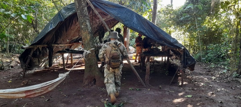 Acampamentos utilizados para a compactação das folhas. Imagem: Gentileza/Senad Paraguai