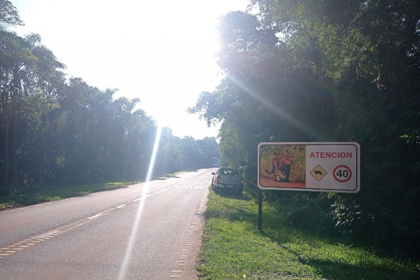 Rodovia de acesso ao Parque Nacional Iguazú. Imagem: Gentileza/Comunicação do Governo Federal Argentino