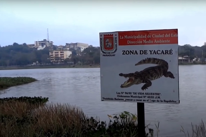 Placa alertando sobre a presença de jacarés no Lago da República, em registro do canal Terra, Céu e Mar no Youtube