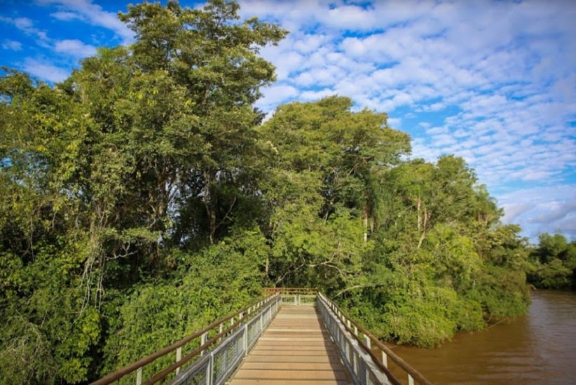 Trajeto entre a margem e o mirante passa por ilhas cobertas por árvores. Imagem: Gentileza/Iguazú Argentina