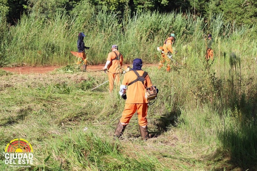 Ciudad del Este declarou emergência para intensificar o combate ao mosquito transmissor. Imagem: Gentileza/Prefeitura de Ciudad del Este