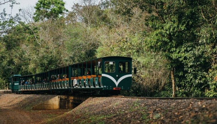 Trem ecológico no Parque Nacional Iguazú, que leva os turistas até a Estação Garganta do Diabo. Foto: Gentileza/Iguazú Argentina