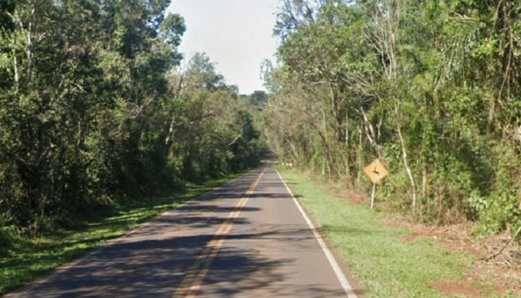 Rodovia Nacional 101 dá acesso ao Parque Nacional Iguazú e ao aeroporto de Puerto Iguazú. Imagem: Google Street View