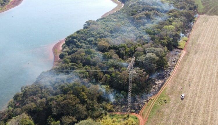 Faixa de vegetação no entorno do lago de Itaipu é vulnerável à ocorrência de queimadas. Imagem: Gentileza/Direção de Coordenação de Itaipu Binacional