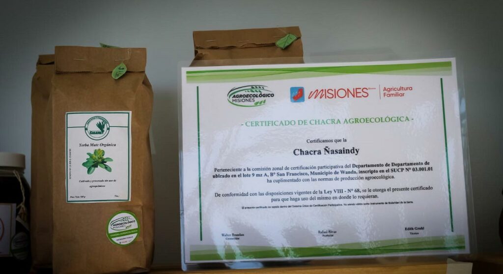 Erva-mate orgânica produzida em Wanda é uma das opções disponíveis. Foto: Gentileza/Prefeitura de Puerto Iguazú