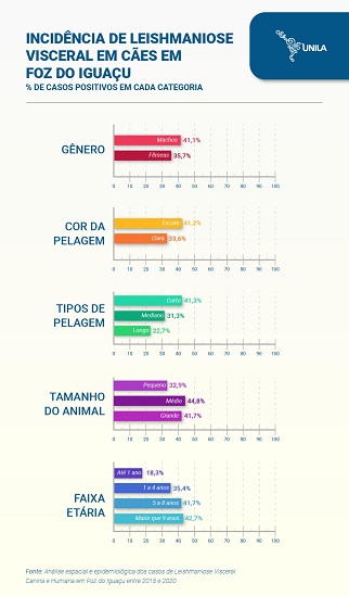 Gráfico elaborado pela pesquisadora Luciana Chiyo mostra algumas das características verificadas.