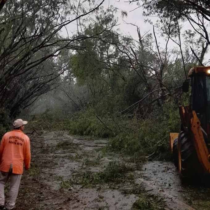 Atrativo turístico de Santa Rita, Túnel Verde foi devastado pelos ventos. Foto: Gentileza/Municipalidad de Santa Rita