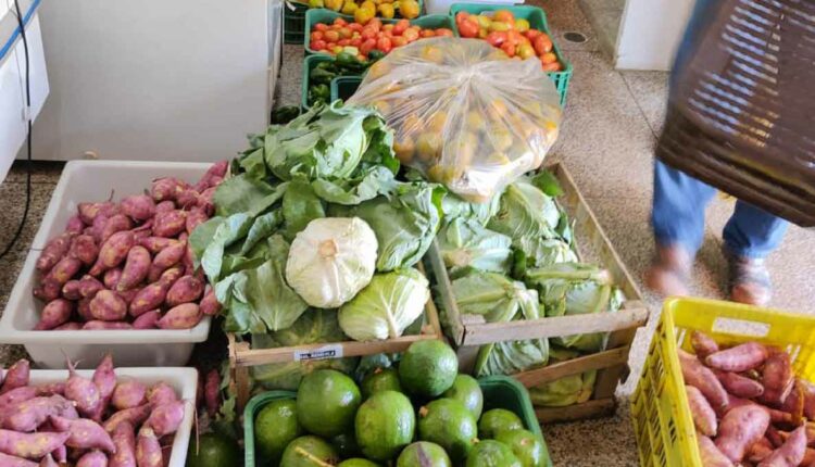 No caso dos alimentos orgânicos, há acréscimo de 30% no preço de referência. Foto: Gentileza/SEAB-PR