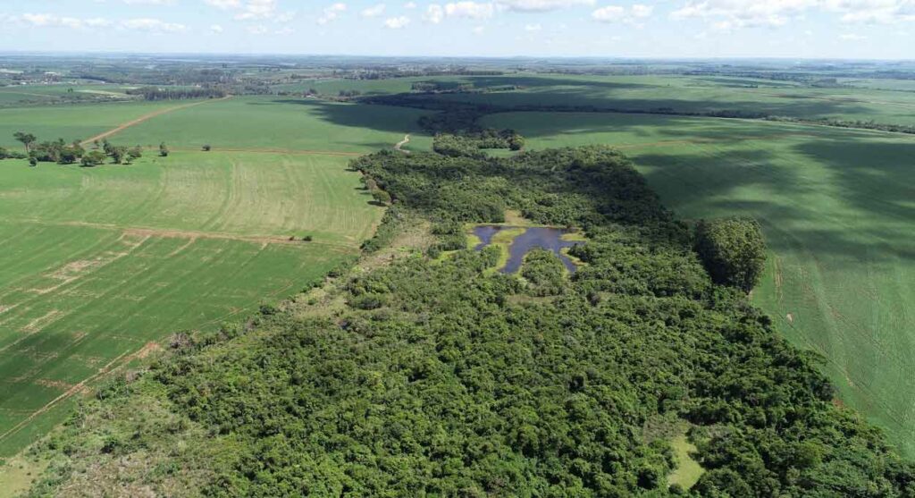 Corredor da Biodiversidade conecta o Parque Nacional do Iguaçu com as áreas protegidas por Itaipu. Foto: Jarbas Teixeira/Itaipu Binacional