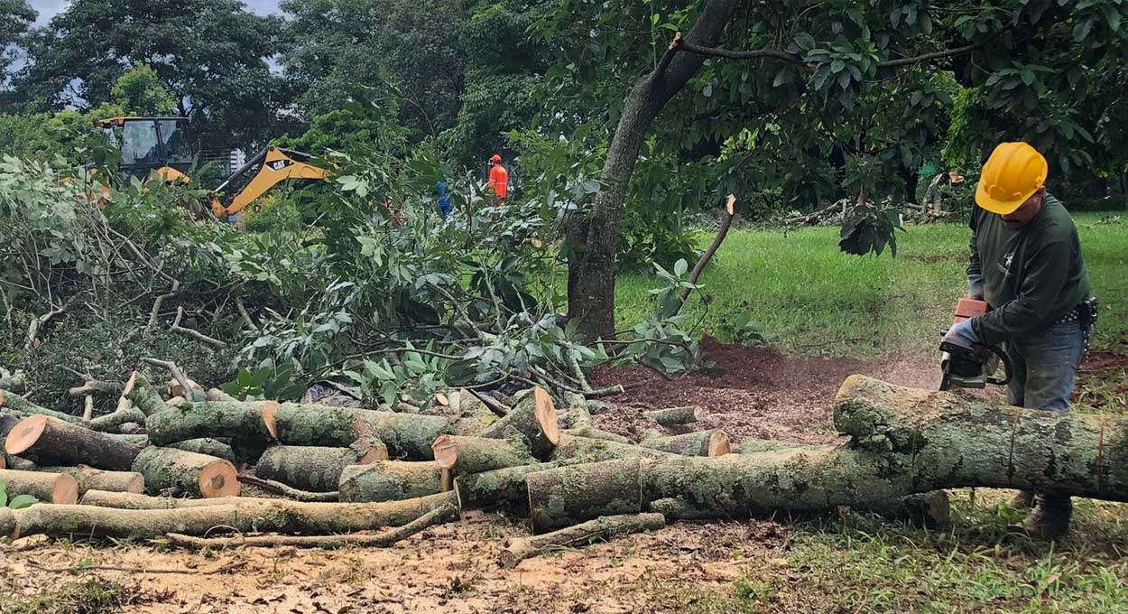 Praça da Sé segue bem cuidada e com ações de zeladoria