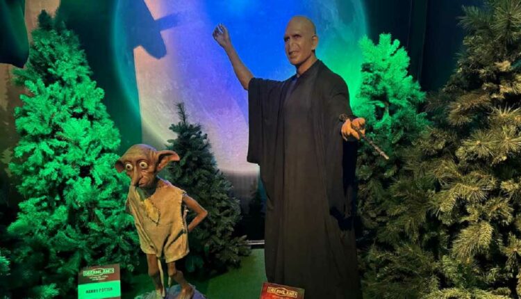 Você arrisca ficar na mira da varinha do vilão Lord Voldemort? Foto: Gentileza/Assessoria