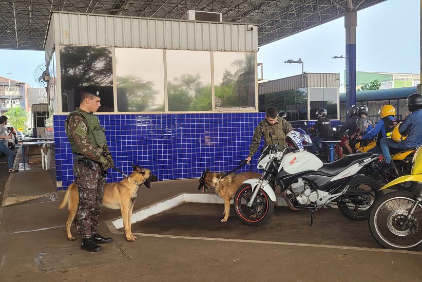 Cães auxiliam nas buscas por entorpecentes e substâncias ilícitas. Foto: Gentileza/5.ª Divisão de Exército