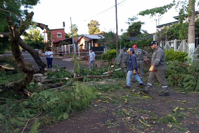 Trabalho de remoção foi concluído apenas nesta sexta-feira (9). Foto: Gentileza/Prefeitura de Puerto Iguazú