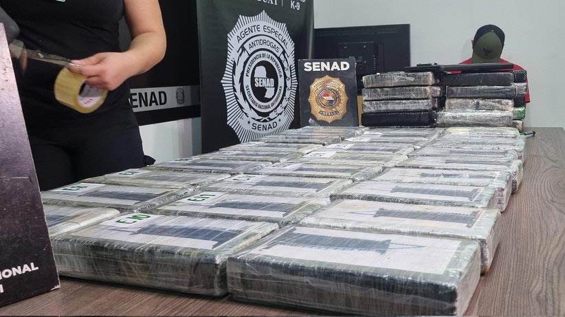 Cocaína apreendida está avaliada em US$ 3,5 milhões. Foto: Gentileza/Senad